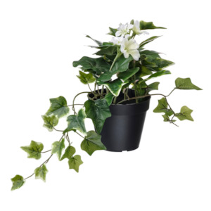 Ikea Fejka Artificial Plant, Pelargonia Ivy