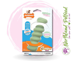 Store-based retail: SALE 15% OFF AT CHECKOUT -- Nylabone Puppy Chew Tactile Stick - Regular