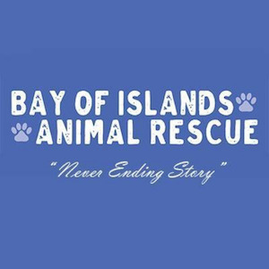 Store-based retail: BOI Animal Rescue Donation