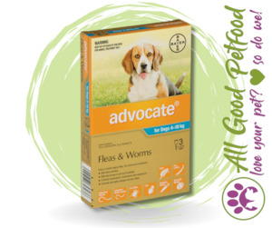 Advocate for Medium Dogs 4kg - 10kg - 3 Pack