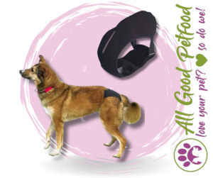 SALE 25% OFF -- Bitches Britches - Protective Dog Pants