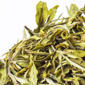 White Peony Tea (Bai Mu Dan)