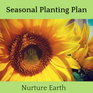 Seasonal Planting Plan