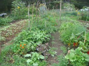 Introduction to Permaculture Workshop