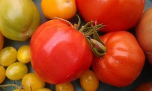 Beefsteak Tomato Mix