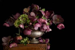 Still Life with Hellebore