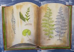 Fern Book