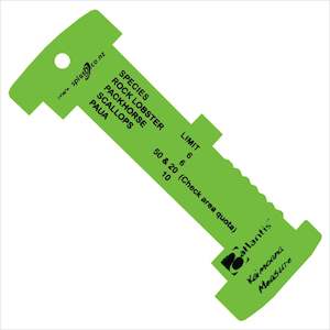 Atlantis Measurer for Crayfish and Shellfish