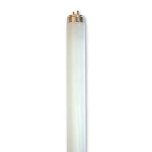 Electric light fittings: T8 18W Fluorescent Tube, Daylight 865 (Long Life) 55,000 Hrs