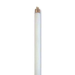 Electric light fittings: T5 8W Warmwhite