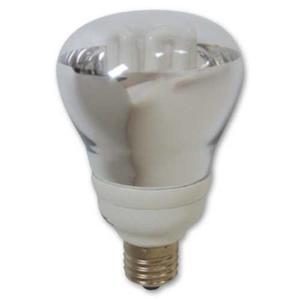 Electric light fittings: LAMP: E27 R80 REFLECTOR 240V 25W Daylight