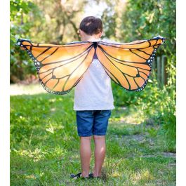 Monarch Butterfly Wings - New Zealand Nature