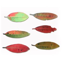 Pohutukawa Leaves Wall Art Set - New Zealand Nature