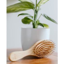 Plastic-free Bamboo Hairbrush - New Zealand Nature