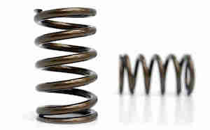 Motor vehicle parts: Kelford Cams KVS109-1JZ Toyota 1JZ Valve Spring Set