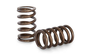 Kelford Cams TOYOTA 3RZ-FE RACING VALVE SPRING SET - KVS180