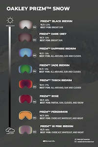 Oakley Flight Path L Goggle Lenses. All Colours