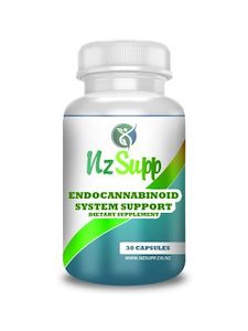 Endocannabinoid System Support