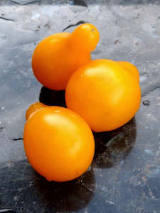 Yellow pear tomatoes