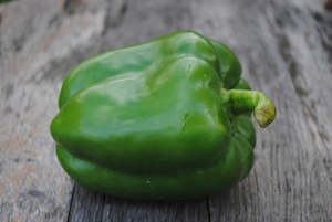 Capsicum Green