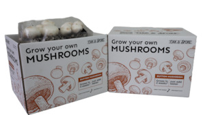 Button Mushroom Grow Kit - 2 Pack