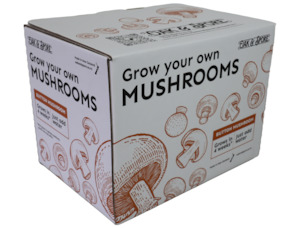 Button Mushroom Grow Kit