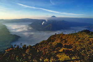 Indonesia - 02 - Occasional Climber