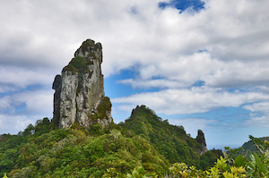 Rarotonga - 01 - Occasional Climber