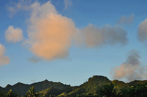 Rarotonga - 04 - Occasional Climber