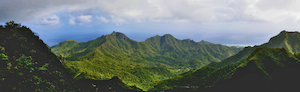 Rarotonga - 06 - Occasional Climber