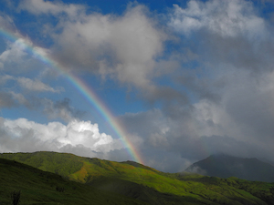 Creative writer - own account: Mt Hikurangi 2014 - 02 - Occasional Climber