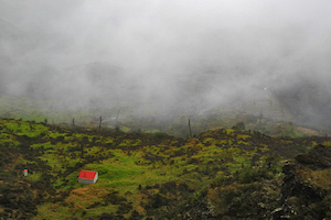 Creative writer - own account: Mt Hikurangi 2014 - 04 - Occasional Climber