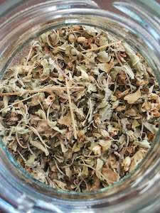 Tulsi Tea - The Life Elixir