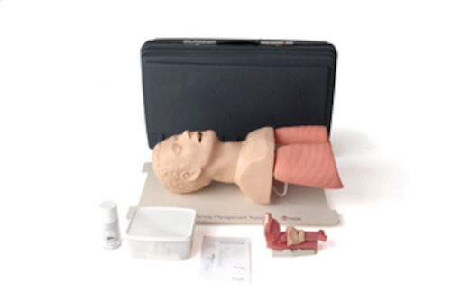 Laerdal Airway Demonstration Model