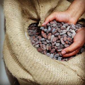 Manufacturing: Raw Cacao Beans 1kg