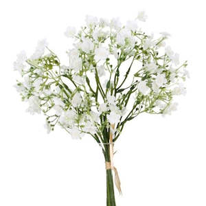 Gypsophila Bundle