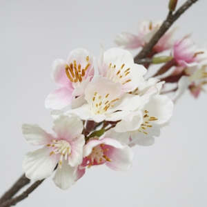 Furniture: Cherry Blossom Spray Pink