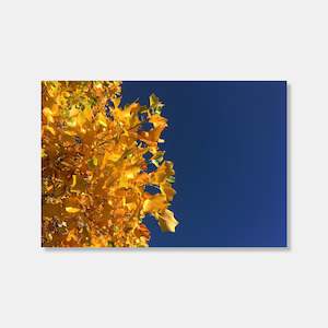 Books: Autumn Photo Print