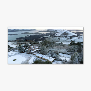 Books: Larnach Castle in the Snow