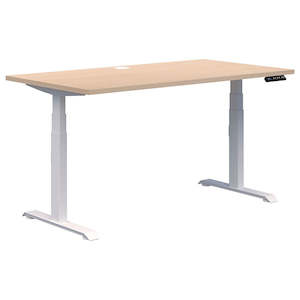 Summit II Single Height Adjustable Desk