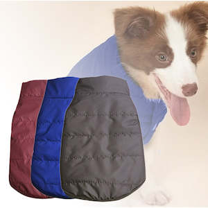 Internet only: Cosy Winter Dog Jacket