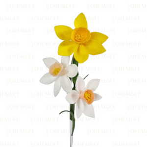 Daffodil