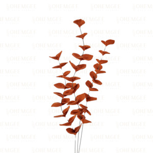 Eucalyptus ‘Dried’ – 3 Stems