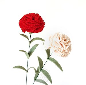 Carnation – 6 stems