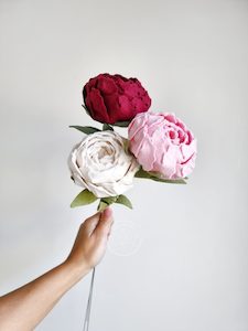 Florist: Peony – 3 stems