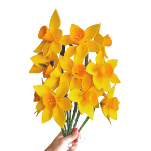 Daffodil – DOZEN