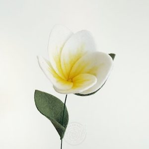 Frangipani