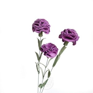 Florist: Carnation – 3 stems