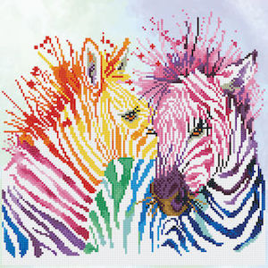 Womenswear: Intermediate - Rainbow Zebras