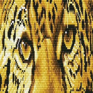 Womenswear: Intermediate - Leopard Spy